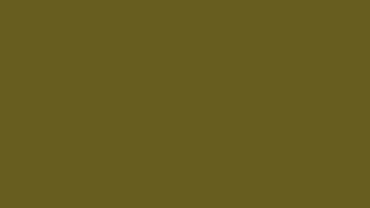 Antique Bronze Solid Color Background Colours