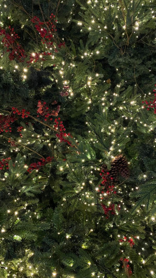Christmas Tree iPhone Wallpaper Winter Aesthetic