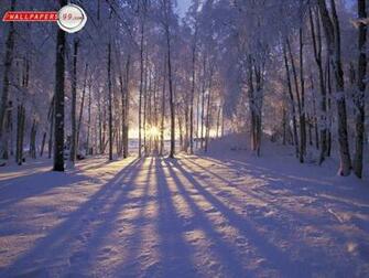 Winter Scenes Wallpaper Picture Image