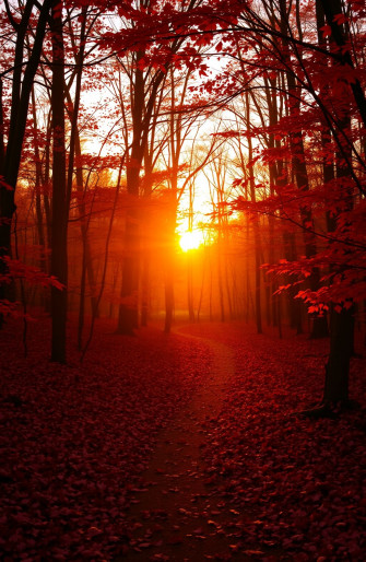 Autumn Wallpaper
