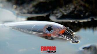 Rapala Wallpaper