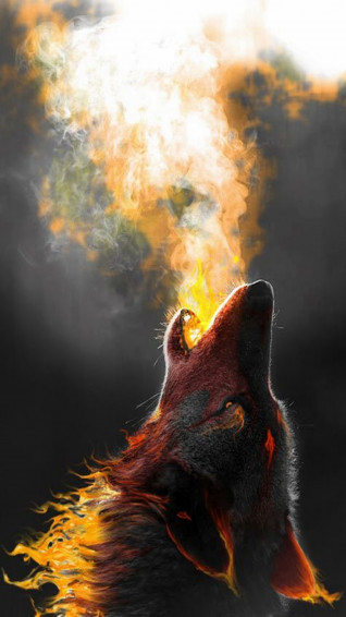 Fire Wolf Wallpaper