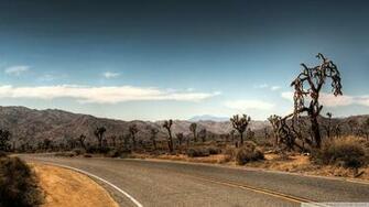 Joshua Tree National Park Wallpaper