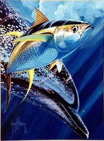 Best Image About Art Guy Harvey