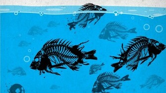 Fishing For Catfish HD Wallpaper Widescreen
