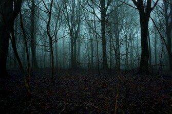 Gallery Real Scary Forest At Night