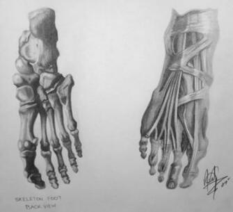 Human Anatomy Wallpaper Art Image Pictures Becuo