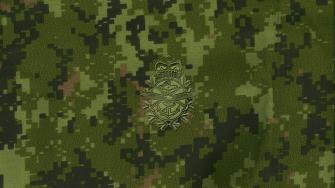 Camouflage Cadpat Wallpaper