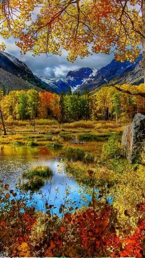 Nature Wallpaper For Apple iPhone E Entertainment