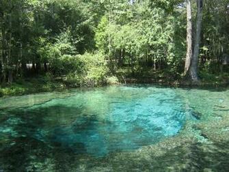 Beautiful Clear Blue Water Photos From Ginnie Spring