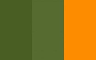 Olive Green Wallpaper HD Base