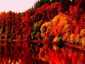 Autumn Nature Wallpaper HD Pictures One