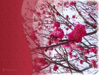 Wallpaper Japan And Screensaver