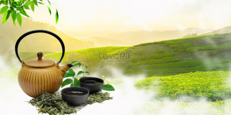 Tea Garden Image HD Picture For Vectors Wallpaper