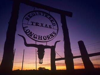 Texas Wallpaper Background Image Creatives