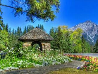 Gardens Banff National Park High Quality And Resolution