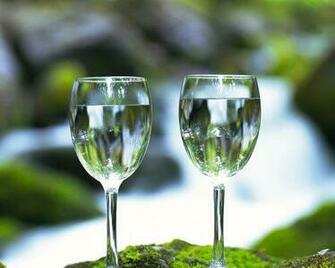 Wine Glass Nature Wallpaper Enjoy Two