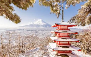 Wallpaper Japan Fuji Mount Pagoda Winter Snow Trees
