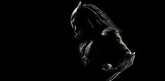 Predator S Invite Dans Le Prochain Mortal Kombat