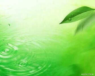 Nature Wallpaper Green Leaves