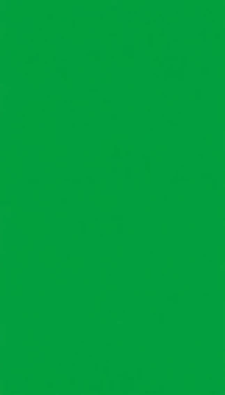Solid Green Wallpaper