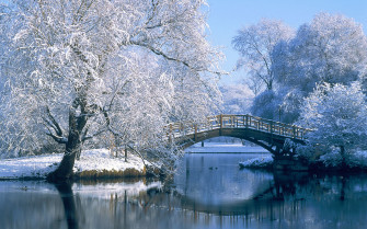 Beautiful Winter Background Wallpaper