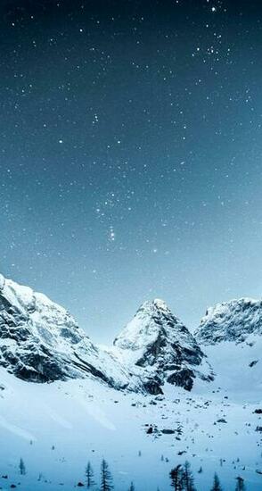 The Arctic Tundra