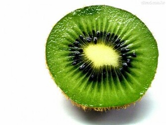 Gallery For Kiwis Wallpaper