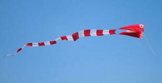 Wallpaper Kite Festival Makar Sankranti Fresh HD