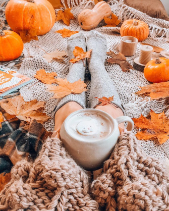 Fall Picture Pumpkins Wallpaper