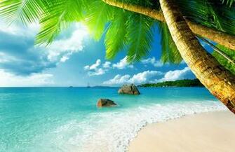Beautiful Summer Season HD Wallpaper Morewallpaper