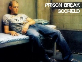 Wentworth Miller Wallpaper