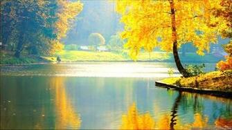 Cool Beautiful Wallpaper