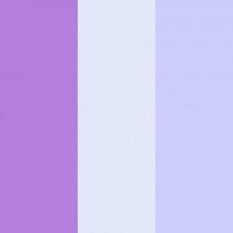 Lavender Floral Web And Blue Three Color