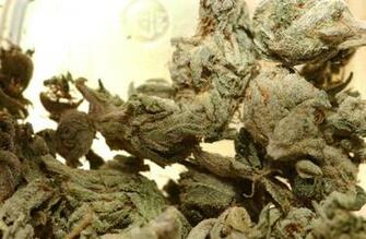 You Are Ing Drugs Weed HD Wallpaper Color Palette Tags