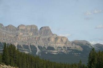 Day Into The Wild Of Alberta Wallpaper