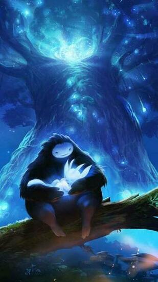Ori And The Blind Forest Wallpaper Or Desktop Background
