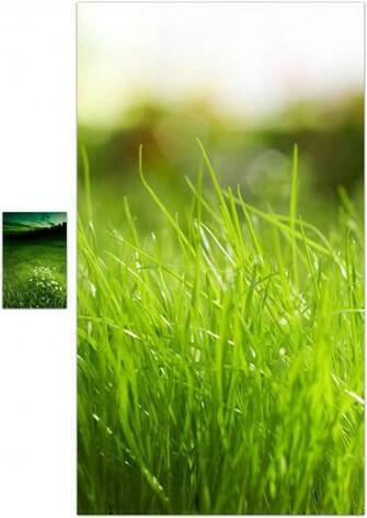 See Past Editions Of Android Wallpaper