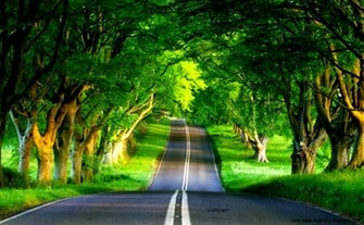 Full HD Nature Wallpaper For Pc Gallery