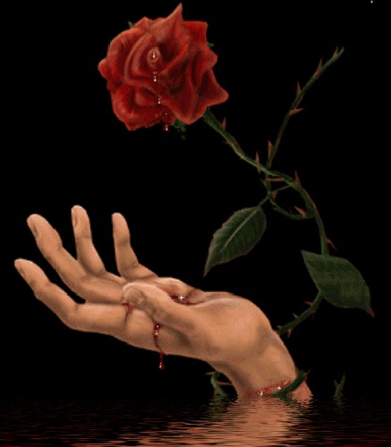 3d Animated Red Rose Droping Blood Wallpaper HD