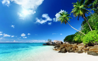 Caribbean Beach Wallpaper