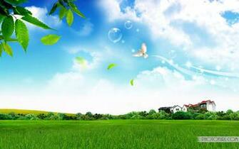 Toshiba Desktop Wallpaper In HD