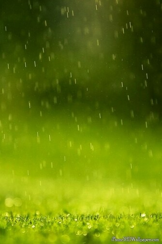 Rain Drops Green Raindrops