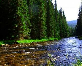 Nature Wallpaper Fast Stream