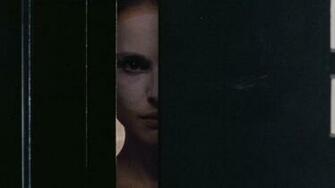 Black Swan Wallpaper