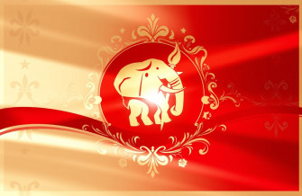 Delta Sigma Theta Wallpaper