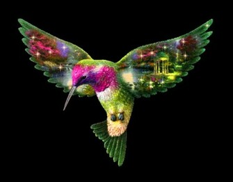 De Virginia Bustos Colibri Herramienta Hooponopono