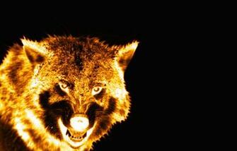 Blue Flame Wolf Wallpaper Flaming Snarl By Saify02