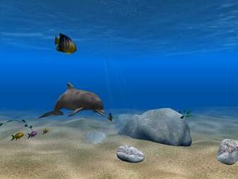 Dolphin Screensavers