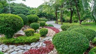 Wallpaper Bangkok Thailand Rot Fai Park Nature Parks